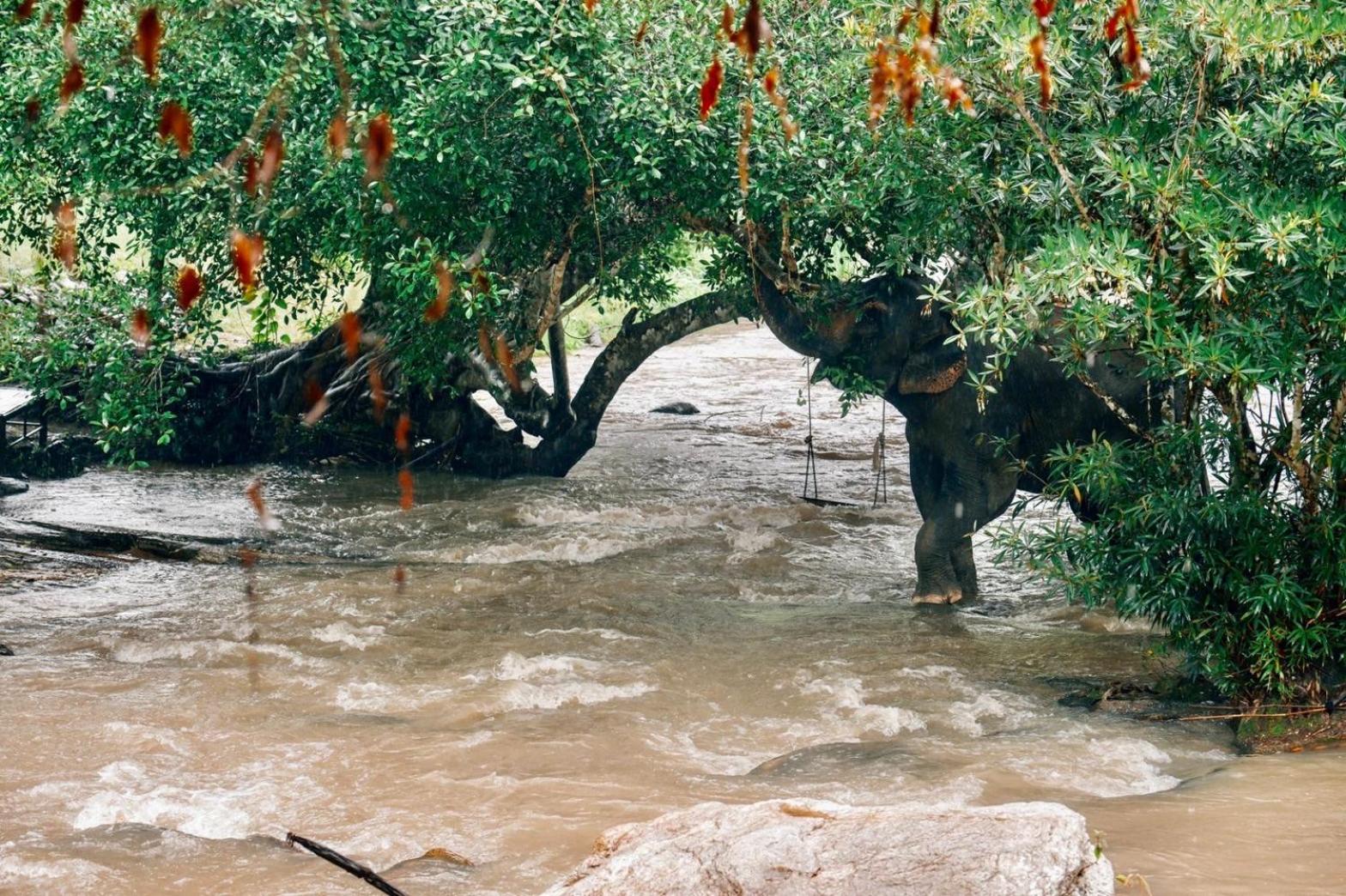 3Pok-Riverside Maewangjinxiang Mae Wang Экстерьер фото